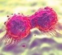 an-improved-tumor-model-indicates-the-way-to-cancer-treatments-that-work-better