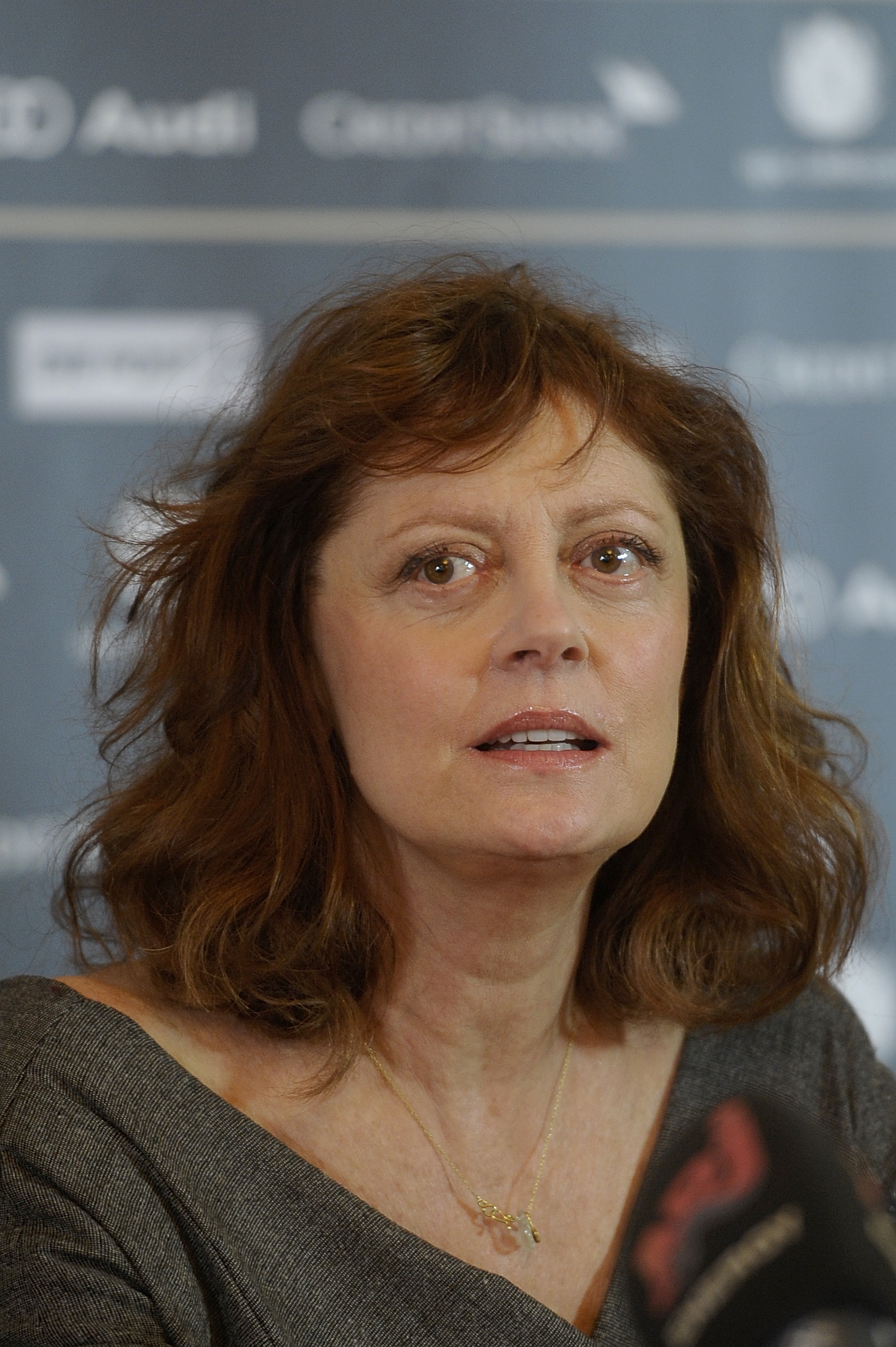 Susan Sarandon attends the Zurich Film Festival 2012 on September 23, 2012 in Zurich, Switzerland | Source: Getty Images