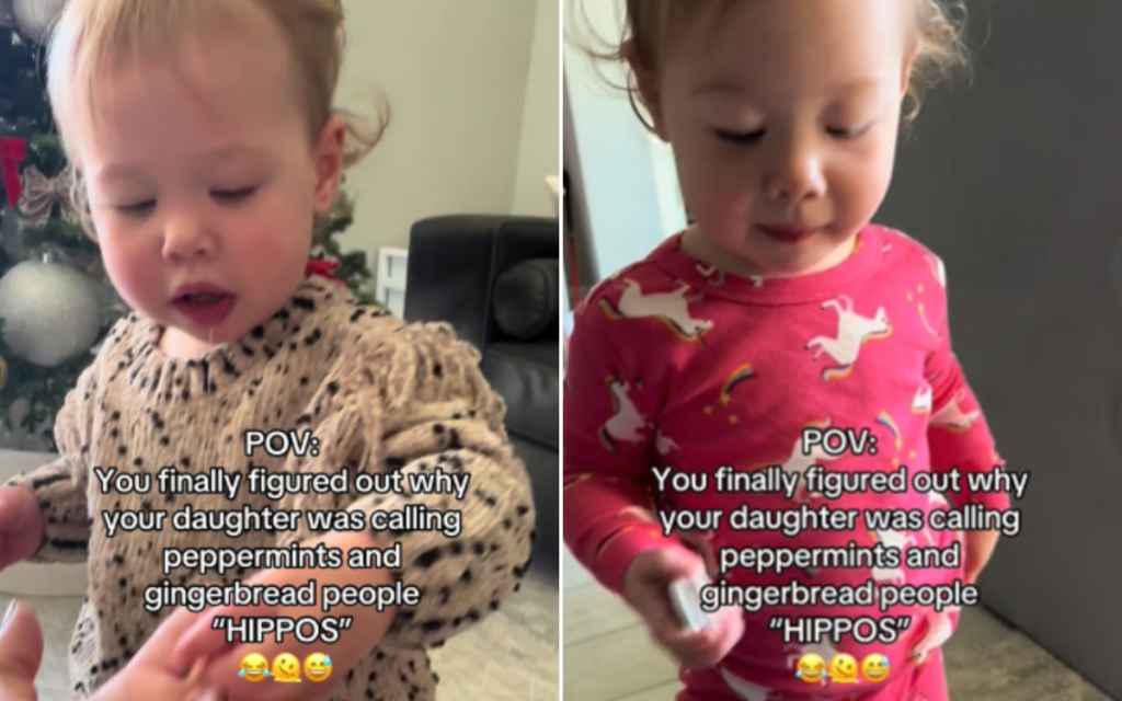 mom-baffled-by-toddler’s-choice-of-words,-then-‘suddenly-it-all-made-sense’