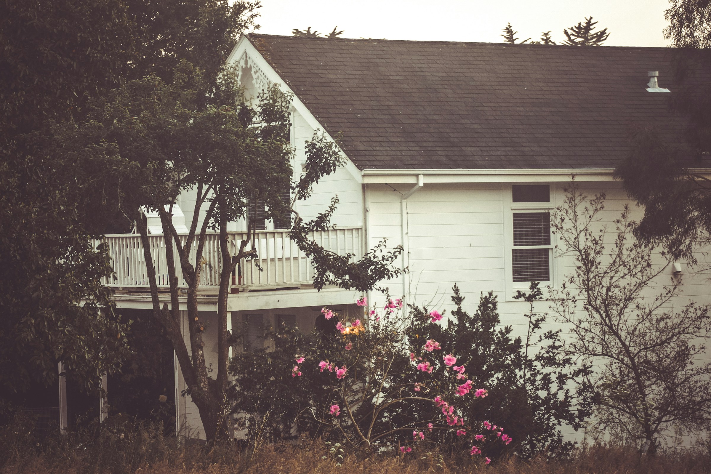 A house nestled among flower bushes and trees | Source: Unsplash