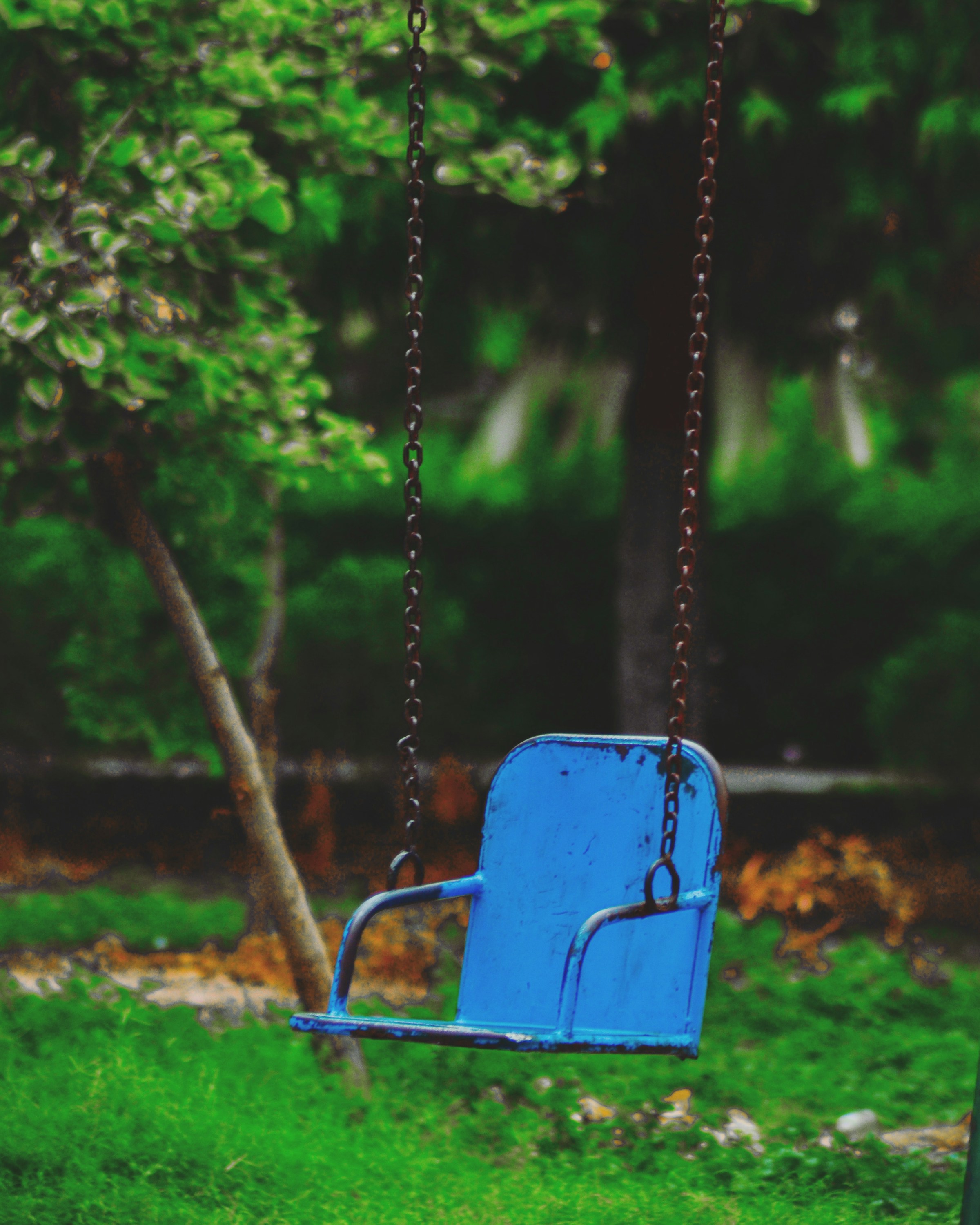 A rusty, old swing | Source: Unsplash