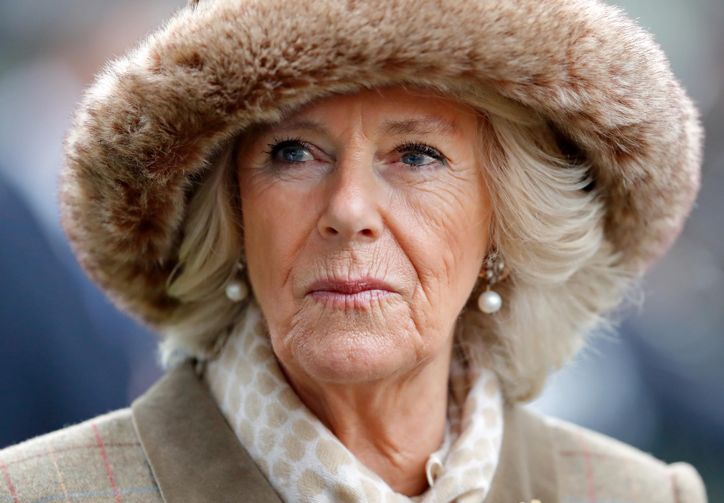 Camilla, Duchess of Cornwall attends The Prince's Countryside Fund Raceday in Ascot, England,  on November 23, 2018 | Source: Getty Images