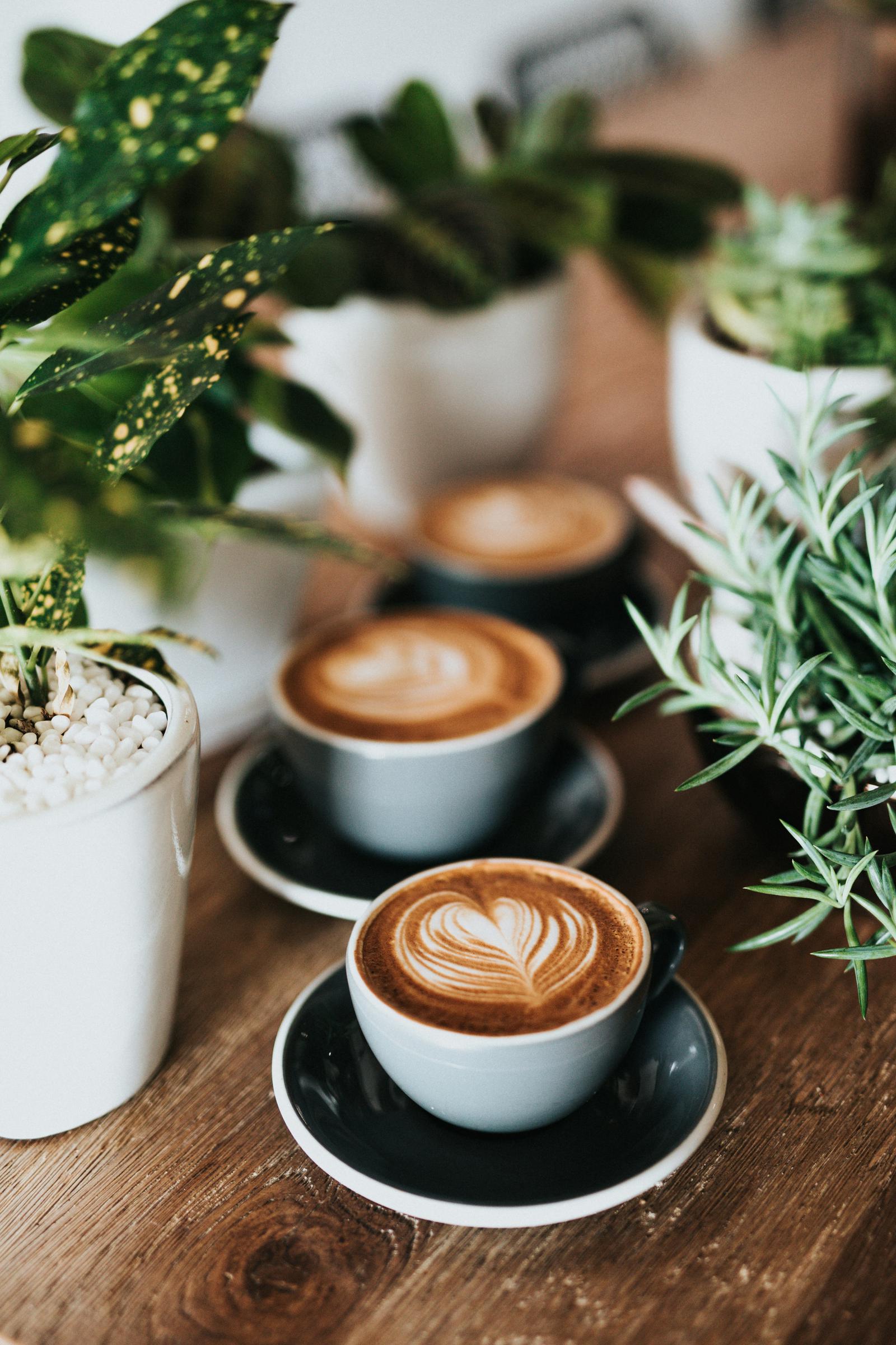 Several cups of coffee on a table | Source: Unsplash