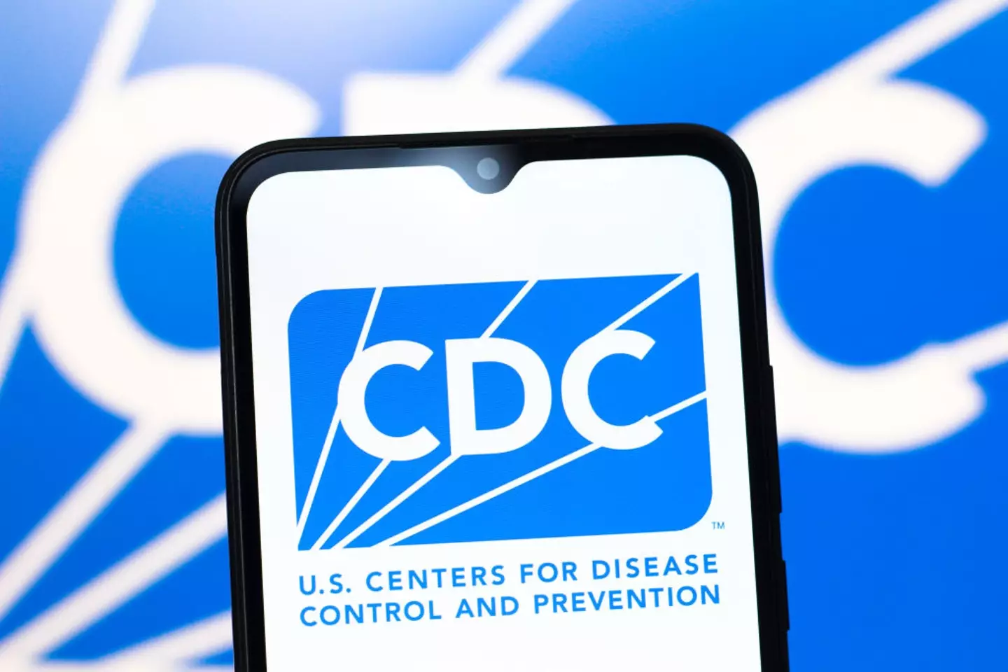 Dozens from the public health workforce were invited back to their jobs this week (Thomas Fuller/SOPA Images/LightRocket via Getty Images)