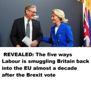 revealed:-the-five-ways-labour-is-smuggling-britain-back-into-the-eu-almost-a-decade-after-the-brexit-vote