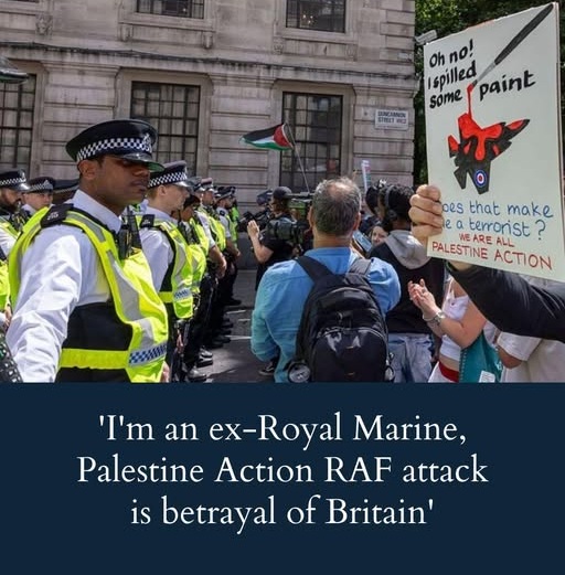 i’m-an-ex-royal-marine-–-these-are-real-reasons-palestine-action-raf-attack-matters