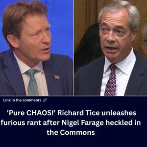 ‘pure-chaos!’-richard-tice-unleashes-furious-rant-after-nigel-farage-heckled-in-the-commons:-‘questions-need-to-be-answered’